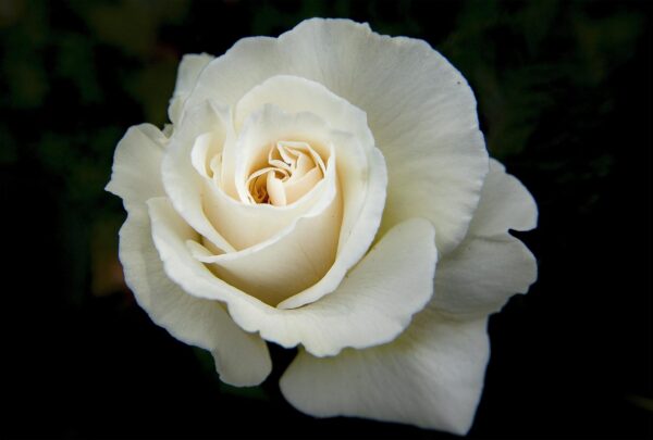 Kevin Lownds Funeral Service