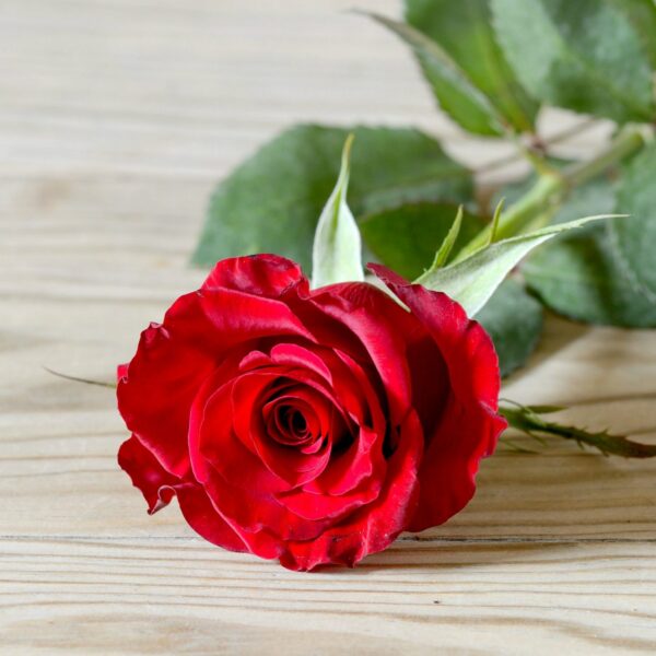 Kevin Lownds Funeral Service